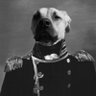 Фото профиля Admiral Jasper
