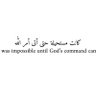 Фото профиля الغازي بن الغازي