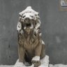 pkpanda's profile picture