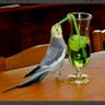 تعبت اشتاق..'s profile picture