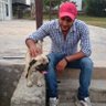 Mayank Sharma profil fotoğrafı