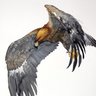 eZx's profile picture