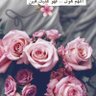 Eman 的头像