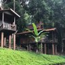 Salman profil fotoğrafı