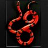 Macariocuernavaca's profile picture