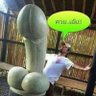 Profilbild von ไม่บอกหรอก...