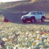 Фото профиля علي العساف