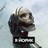 Фото профиля Анархо-этатист за мир 🤍💙❤️