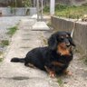 りょー profil fotoğrafı