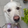 Eleonora profil fotoğrafı