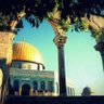 Фото профиля مؤمن مقداد