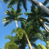 Фото профиля Ms. Me 🇧🇧