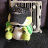 Profilbild von The Zen Tortoise
