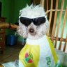 Vituco's profile picture