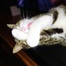 JL A profil fotoğrafı