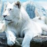 Yahya Hawee profil fotoğrafı