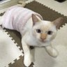 ワカみえ〜's profile picture