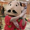 Profilbild von トヤベッチ