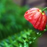 Фото профиля SYLY315531