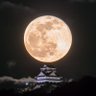 无名's profile picture