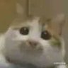 Profilbild von tmapy