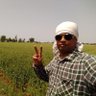 sameer parve 的头像