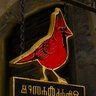 Profilbild von ScarletCardinal