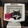 Atrapado's profile picture