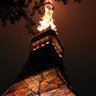 真相報道社's profile picture