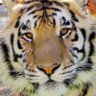Profilbild von #