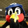 Profilbild von ちゃぼっち