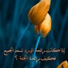 Eman Rizk's profile picture