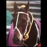 CB-3KB🏇∥🍼🍒 的头像