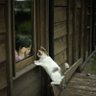无名之辈 profil fotoğrafı