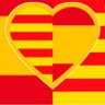 𝓜𝓲𝓰𝓾𝓮𝓵 𝓐𝓷𝓰𝓮𝓵 ❤️💙🤘🇪🇸 profil fotoğrafı