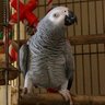 Polly's profile picture