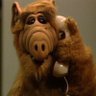 Gordon Shumway's profile picture