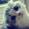 mihriban's profile picture