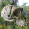 Фото профиля Slaine_Troyard