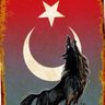 mustafatuna 的头像