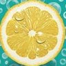 🍋🌼Lovely Lemon Tree🌻🌈 profil fotoğrafı