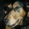 Profilbild von @rojel_nelly