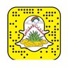 Фото профиля 🌴مكشات🌴 ومقناص🌴