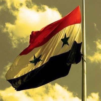 Syrian Knight's profile picture