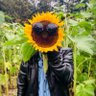 Profilbild von Josy Almeida