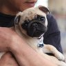 Paul's profile picture