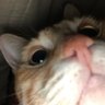 samhawq's profile picture
