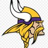 Viking Fan 的头像