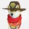 Doge profil fotoğrafı