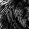 Rm profil fotoğrafı